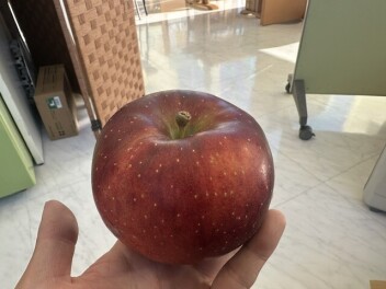 リンゴ頂きました♪